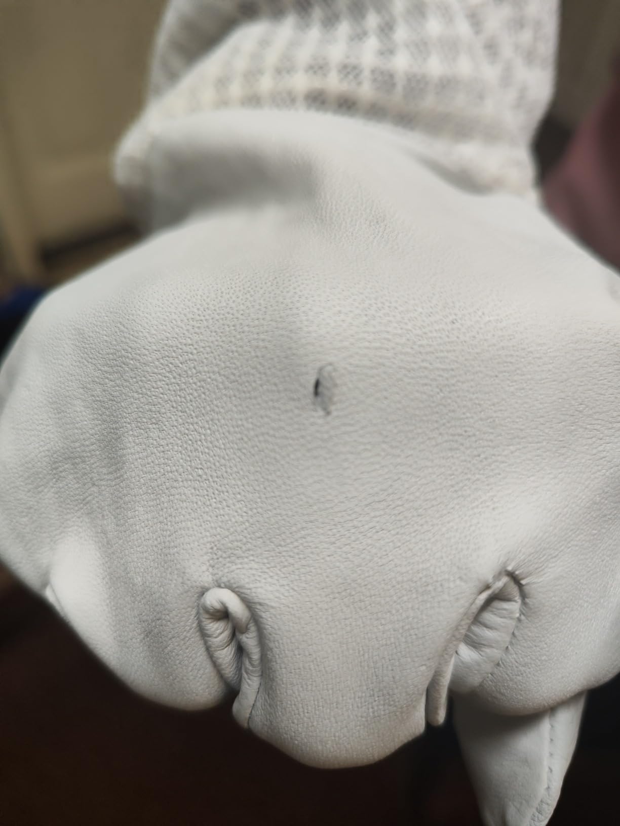 3 Layer Ventilated Bee Jacket for Men & Women, Premium Beekeeping Jacket with Gloves & Two Beekeeper Veils. (White J/XL) customer photo 2