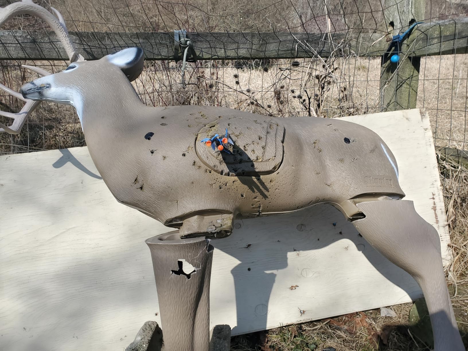 TenPoint Titan 400 Crossbow, Vektra - 400 FPS - Includes Pro-View 400 Scope, ACUdraw Silent Cocking Device & Three Pro Elite 400 Carbon Arrows customer photo 1