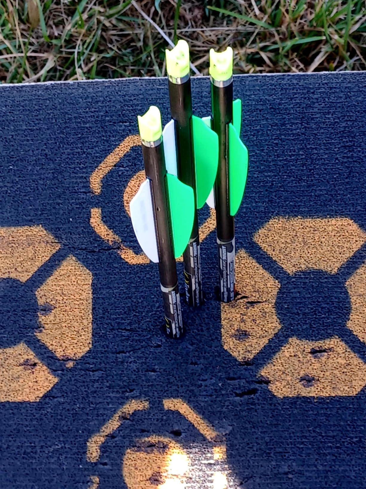 TenPoint Titan 400 Crossbow, Vektra - 400 FPS - Includes Pro-View 400 Scope, ACUdraw Silent Cocking Device & Three Pro Elite 400 Carbon Arrows customer photo 2