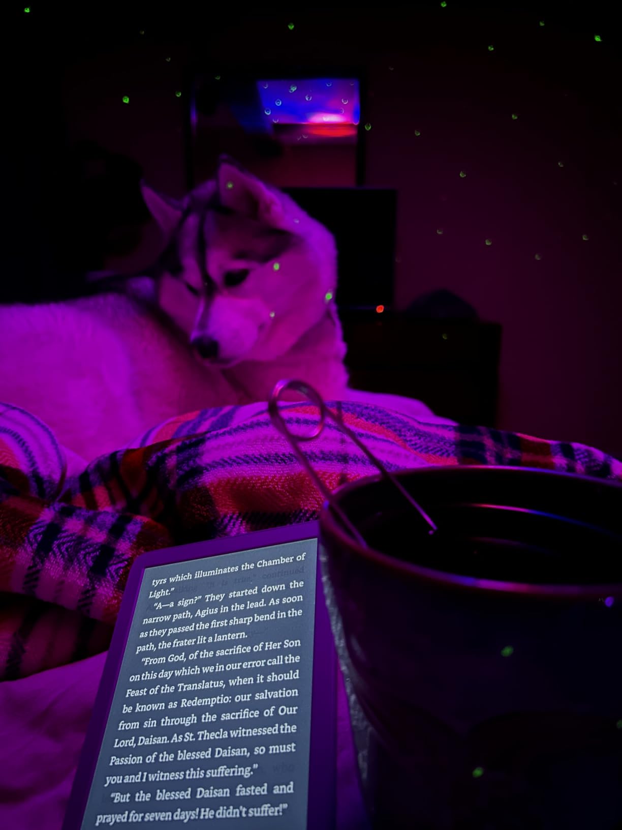 Kindle 16 GB (newest model) - Lightest and most compact Kindle, now with faster page turns, and higher contrast ratio, for an enhanced reading experience - Matcha customer photo 2