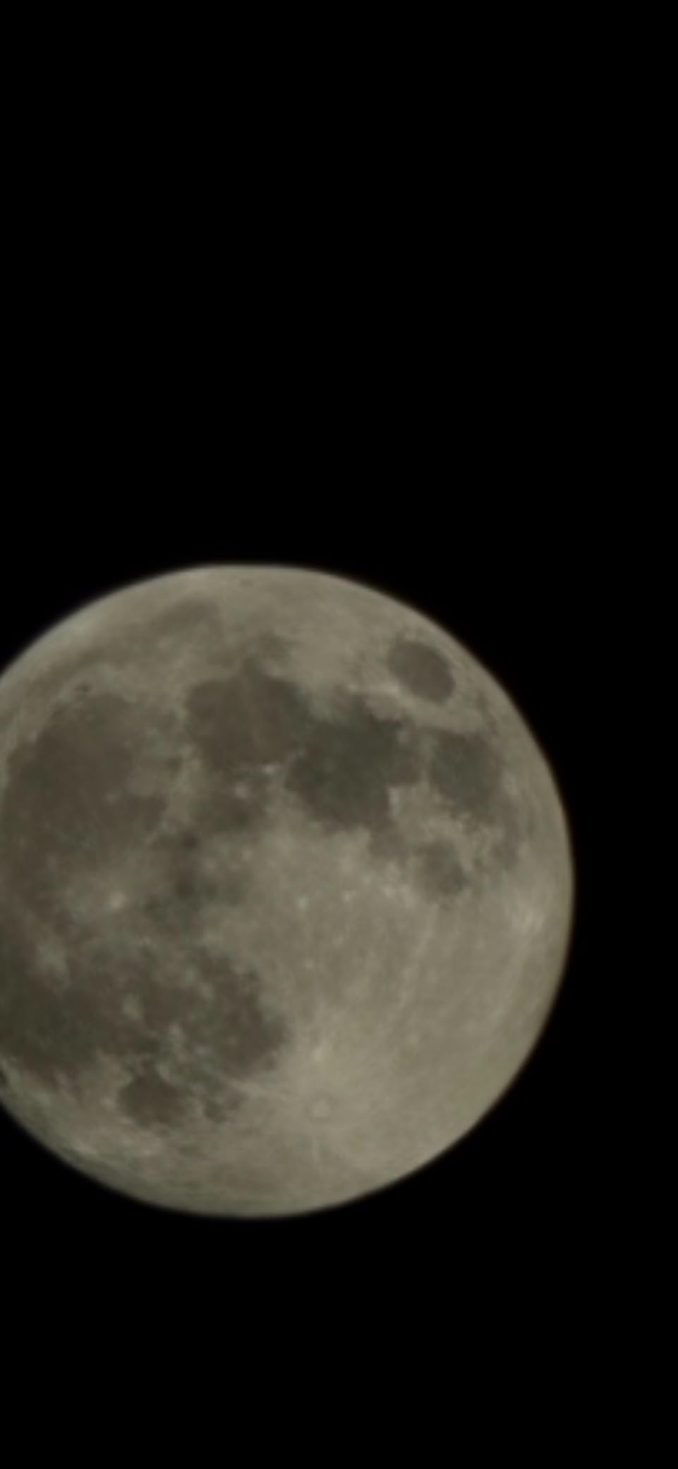 Telescope, Telescope for Adults High Powered Professional, 90mm Aperture 800mm Refractor Telescopes for Astronomy Beginners Fully Multi-Coated with AZ Mount Tripod & Phone Adapter & Carry Bag customer photo 2