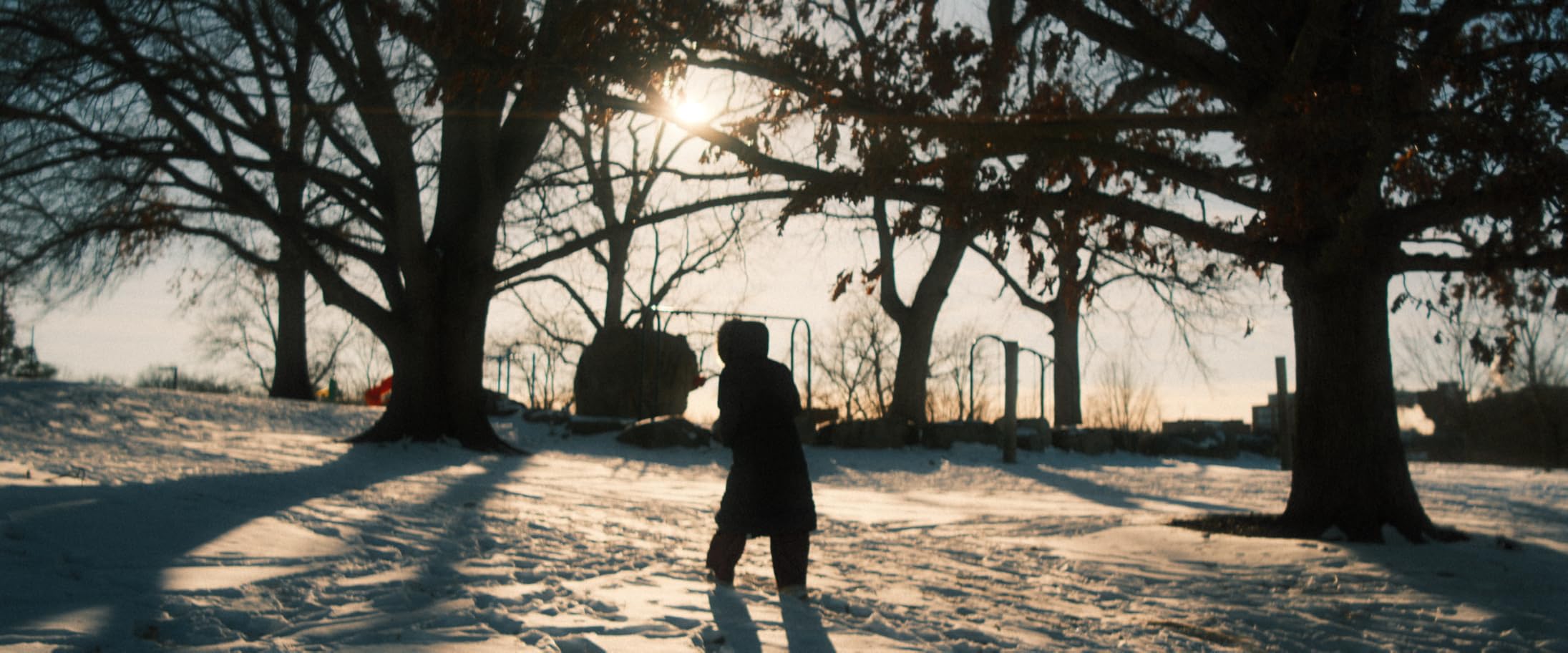 Sirui Saturn 75mm T2.9 1.6X Full Frame Carbon Fiber Anamorphic Lens, Cine Lens for X Mount Cameras, Less Than 500g (Blue Flare) customer photo 1