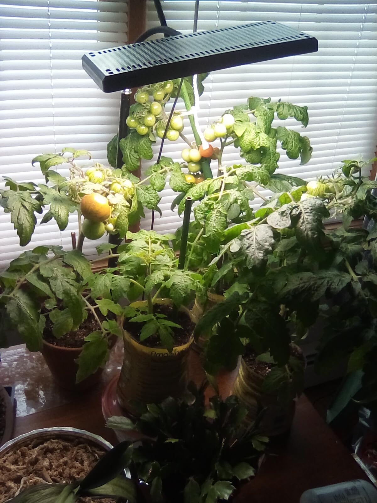 LBW Grow Lights for Indoor Plants with Stand, 642 LEDs Full Spectrum Standing Grow Light, Tall Floor Lamp with 3/6/12H Timer, 6 Brightness, 3 Modes, 63