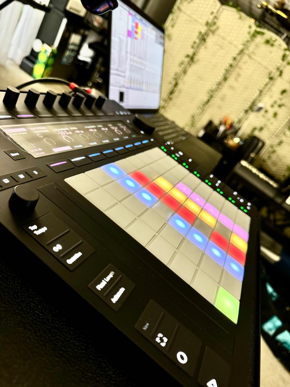 Push 3 Standalone Workstation w/ 64 MPE pads, Audio Interface and 256GB SSD HD customer photo 2