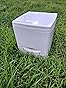 Cuddy Lite Portable Compost Toilet - for Camping, RVs, Campervans, Boats & Tiny Houses - LED Full Indicator, Liquid-Diverting, Separating, Solids Cover, Easy Clean - Portable & Compact customer photo 1