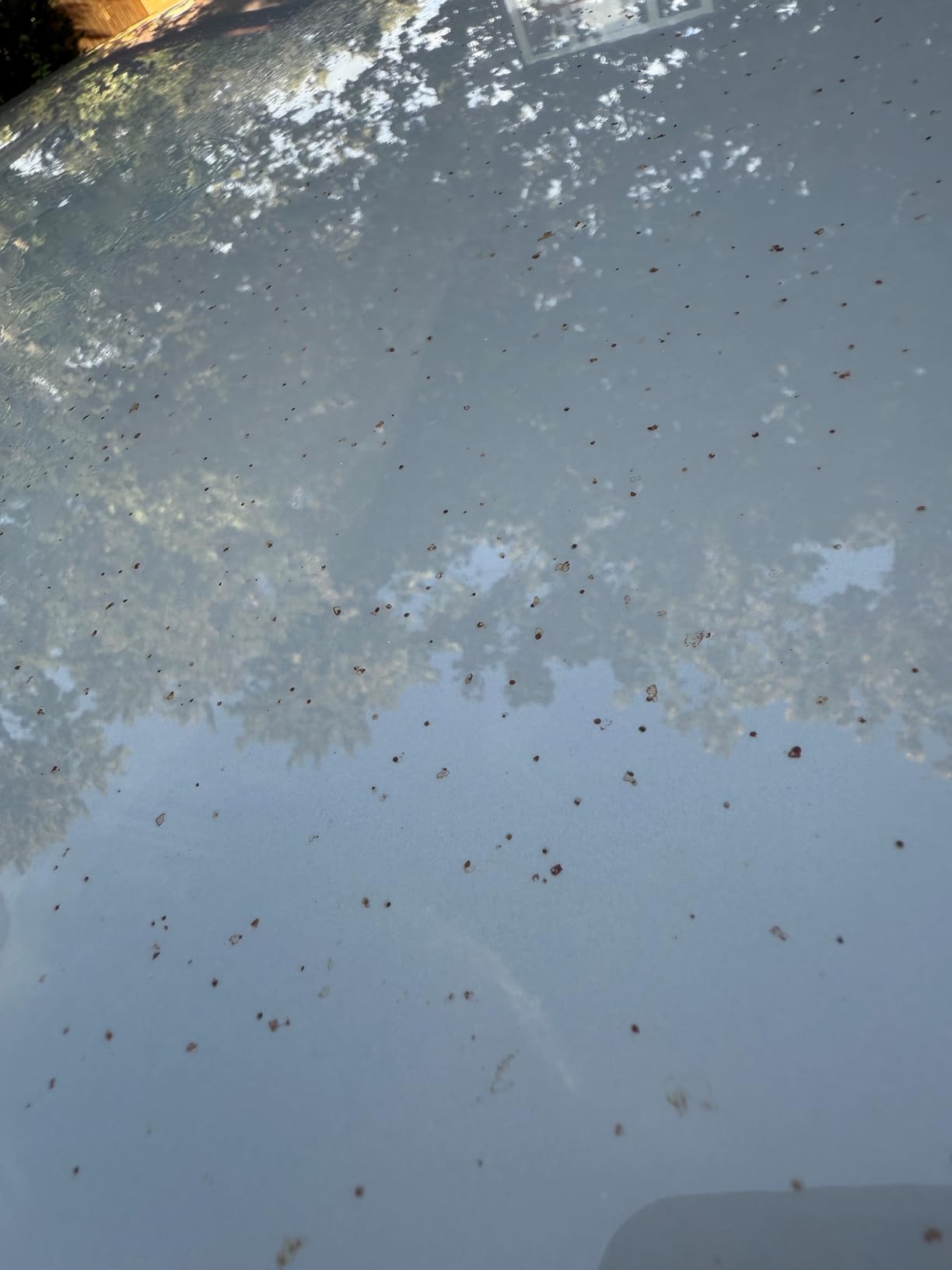 Car Clay Bar 4 Pack 400g, Premium Grade No Scratch Magic Clays Bars Detailing Cleaner Kit Glass Deatil Cleaning with Washing and Adsorption Capacity for Auto SUV,RV,Truck customer photo 2