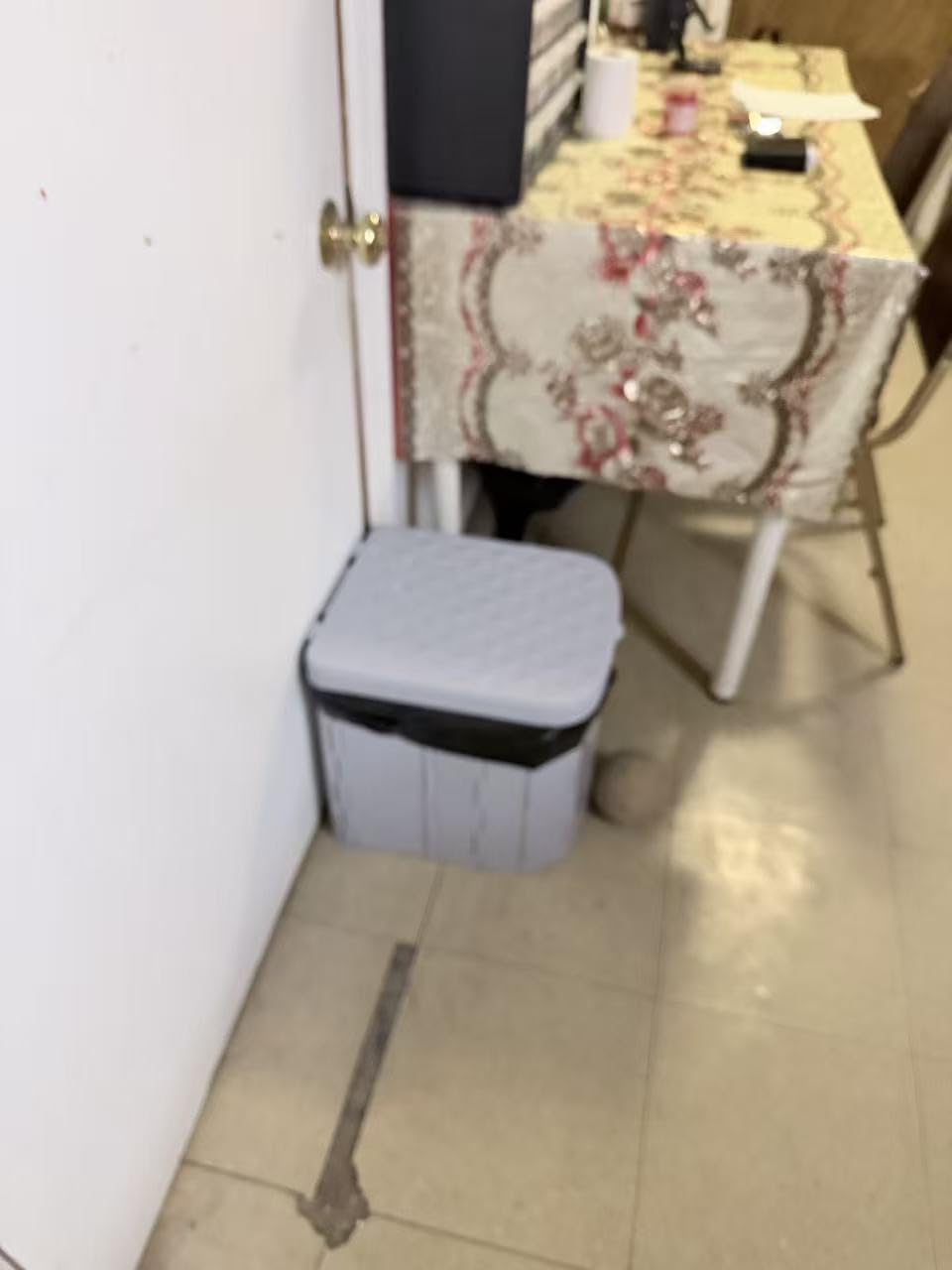 Portable Camping Toilet for Adults XL Portable Folding Toilet with Lid,Travel Portable Potty for Adults,Porta Potty Car Toilet, Grey customer photo 1