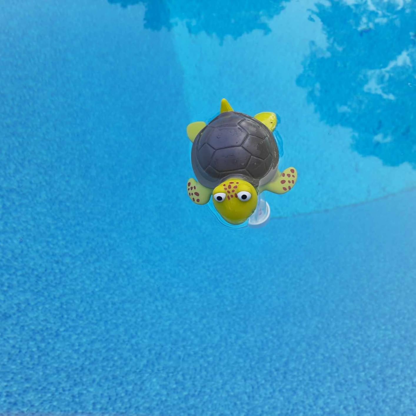 XY-WQ Floating Pool Thermometer, Large Size Easy Read for Water Temperature with String - Swimming Pools, Spas, Hot Tubs, Ponds (Turtle) customer photo 2