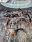 HEX BOTS Remote Control Tarantula, Rechargeable Robot Spider Toys for Kids, Adjustable Robotic Tarantula Spider customer photo 1