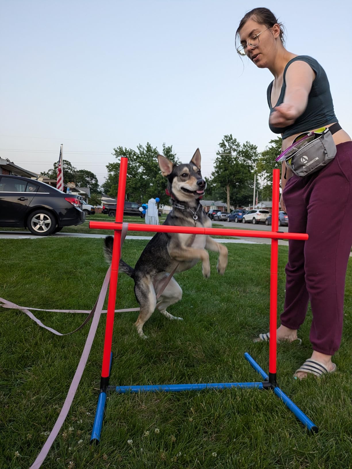 4 Sets Pets Agility Training Equipment, Adjustable Dog Hoop, Dog Jump, Weave Poles and Pause Box，with Independent Packaging(4 Sets) customer photo 1