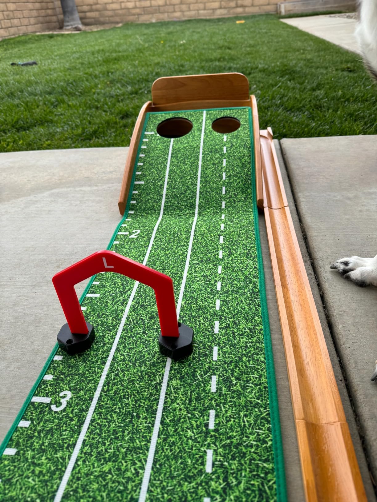 CHAMPKEY Premium Golf Putting Green Indoor with 3 Golf Putting Gates - Improves Putting Accuracy and Skill Levels Golf Putting Mat - Ideal for Indoor and Outdoor Training customer photo 2