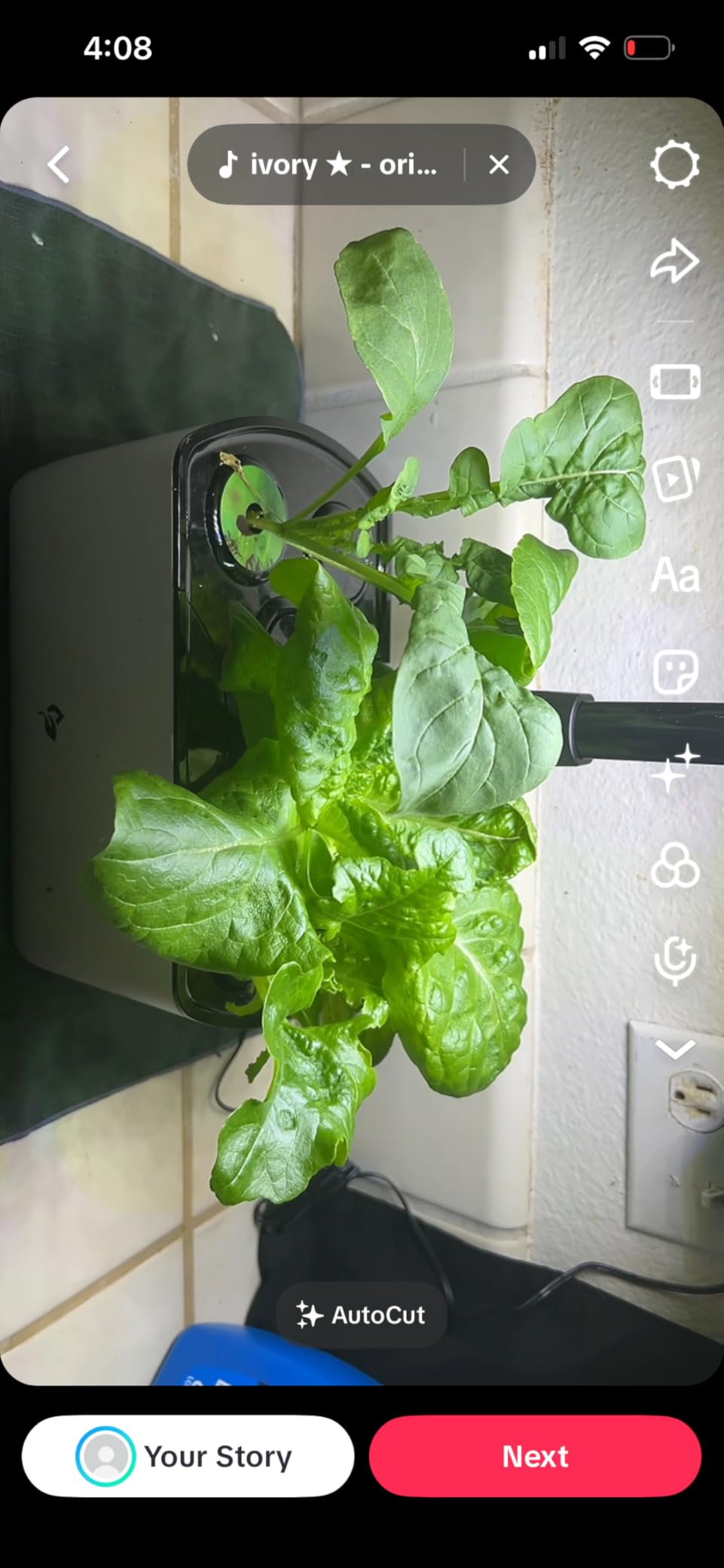 AeroGarden Harvest Lite in Cream, Soil-Free Indoor Hydroponic Garden with LED Grow Light for Year-Round Gardening of up to 6 Herbs and Vegetables customer photo 2