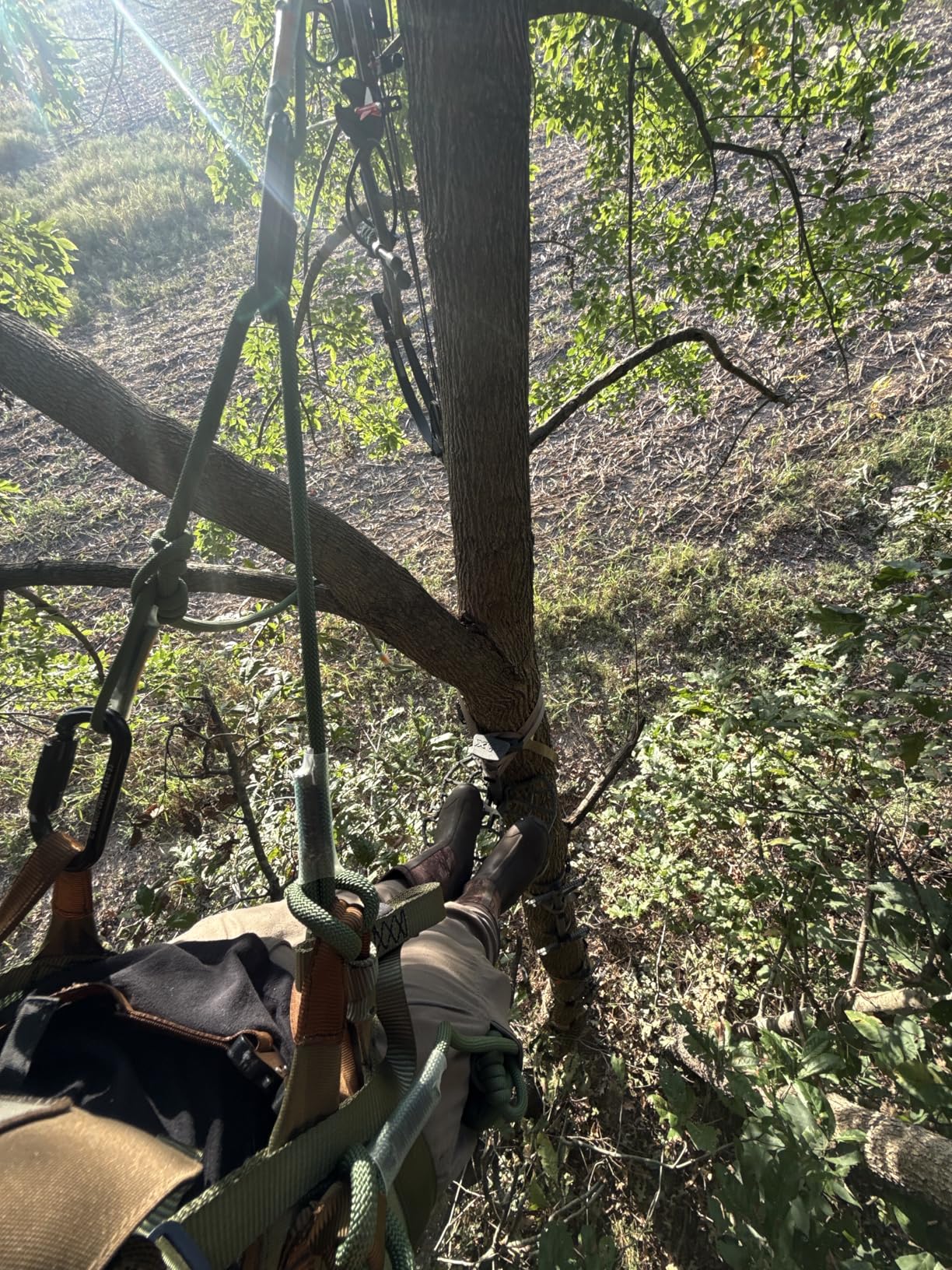 XOP Complete Tree Saddle Hunting System - Includes Aluminum Tree Saddle Platform, Mondo Saddle Harness and Carrying Bag customer photo 2