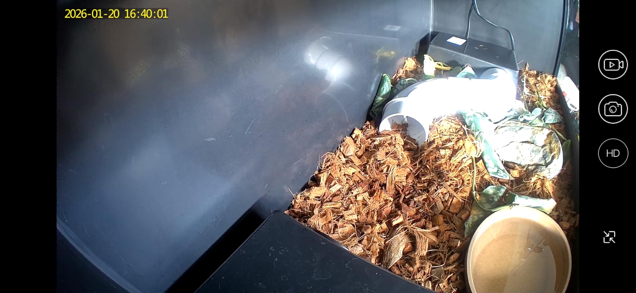 2025 Upgraded Security Camera, 4K HD Mini Nanny Cam for Home with Night Vision, WiFi Indoor Camera, 100 Days Long Battery Life, Motion Detection, Remote Viewing, Wireless Surveillance Cam customer photo 2