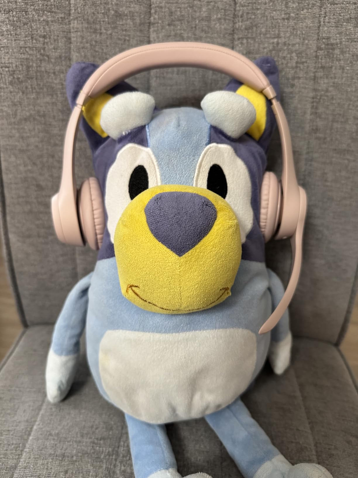 Logitech Zone 301 Wireless Bluetooth Headset with Noise-Canceling Microphone, Compatible with Windows, Mac, Chrome, Linux, iOS, iPadOS, Android - Graphite customer photo 1