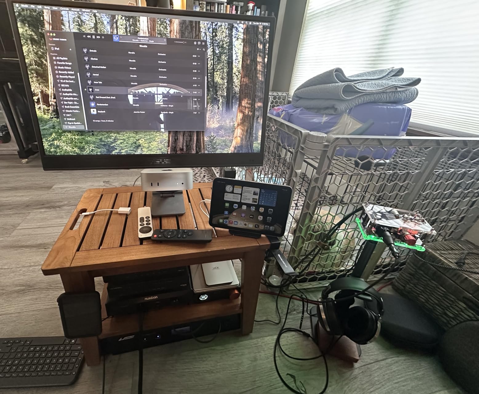 ASUS ZenScreen 16