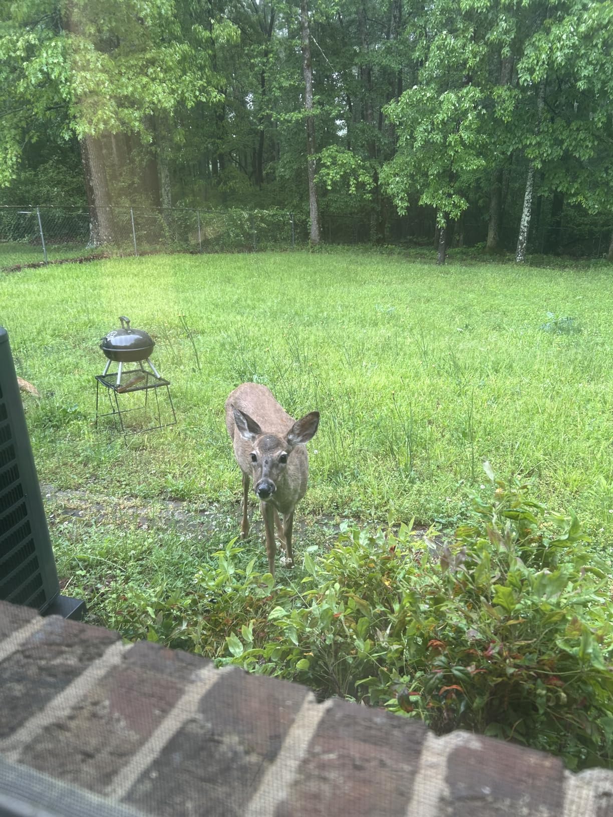 Hiseeu Wireless Pro WiFi Security Camera System, 16CH 4K NVR Kit, Corded Powered 8Pcs 5MP CCTV Home Security Camera System for Indoor/Outdoor, Night Vision, Waterproof, Motion Detection, 3TB HDD customer photo 2