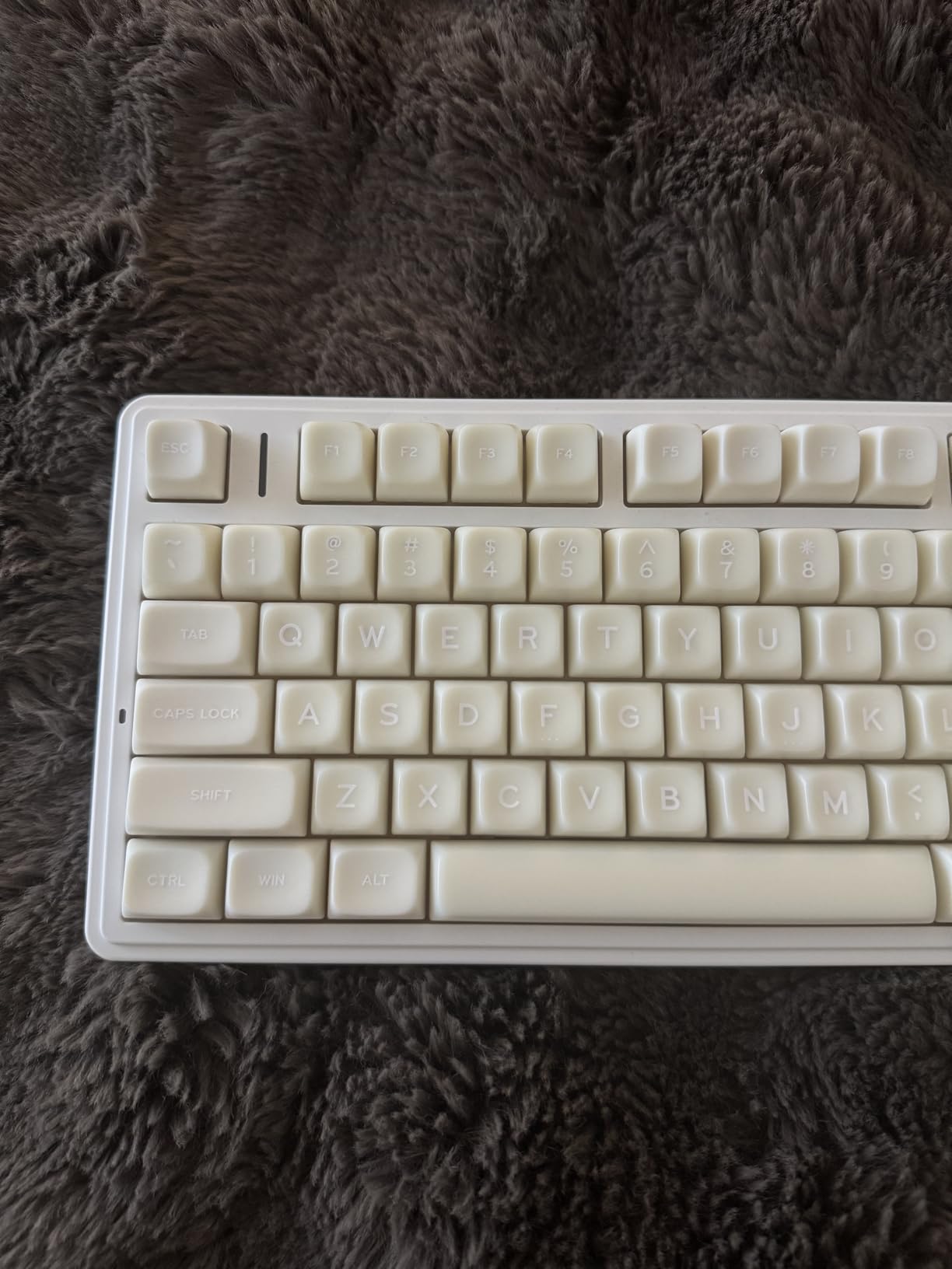 XVX Shine Through Keycaps, Japanese Ink Lotus Keycap Set, DoubleShot PBT Key caps with Dye-Sublimation, Cherry Profile Keyboard Keycaps for Gateron Cherry MX Switches Mechanical Keyboards customer photo 2