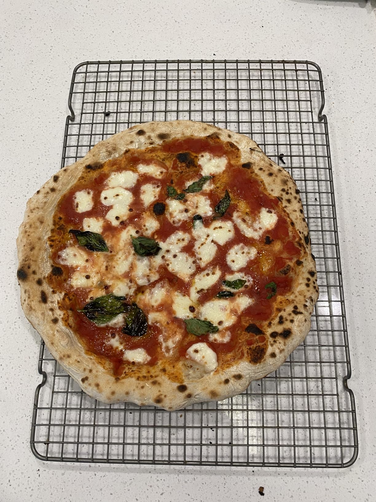 Gozney Arc XL Outdoor Pizza Oven, Propane Gas Pizza Oven, Precision Flame Control, Cooks 16