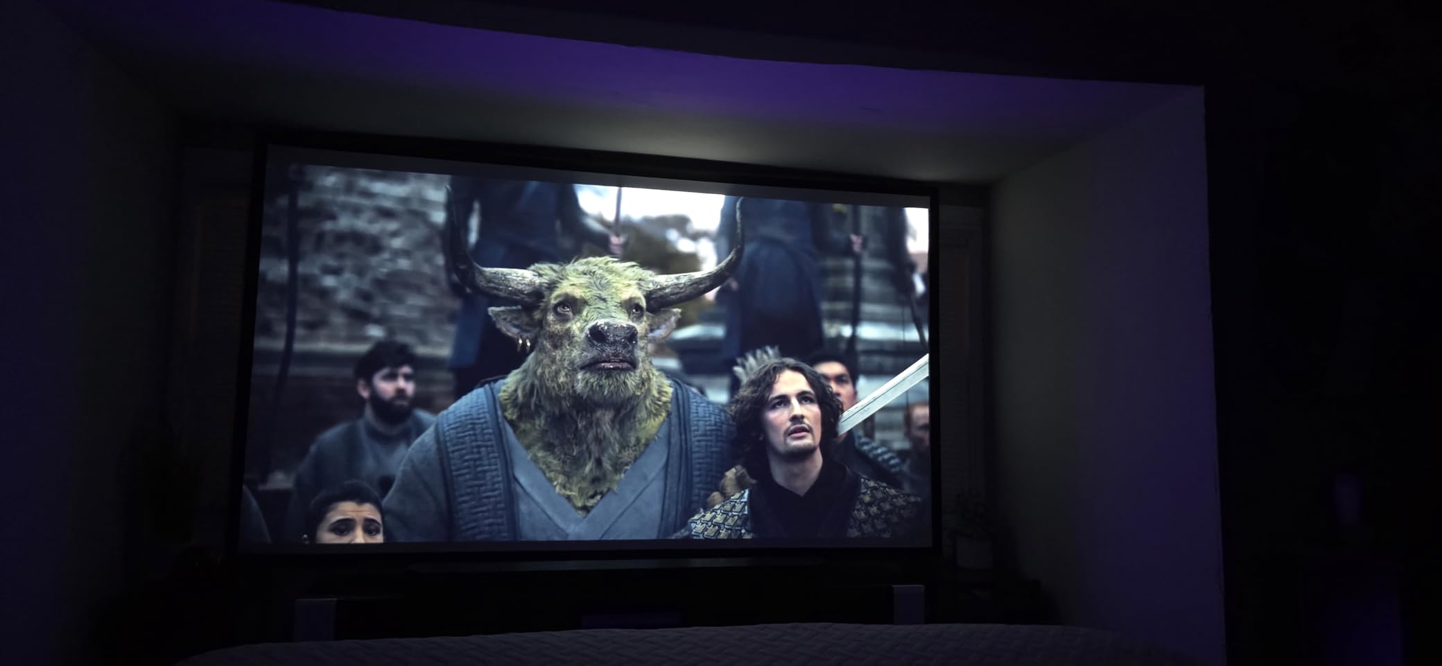 Projector Screen with Stand - 100