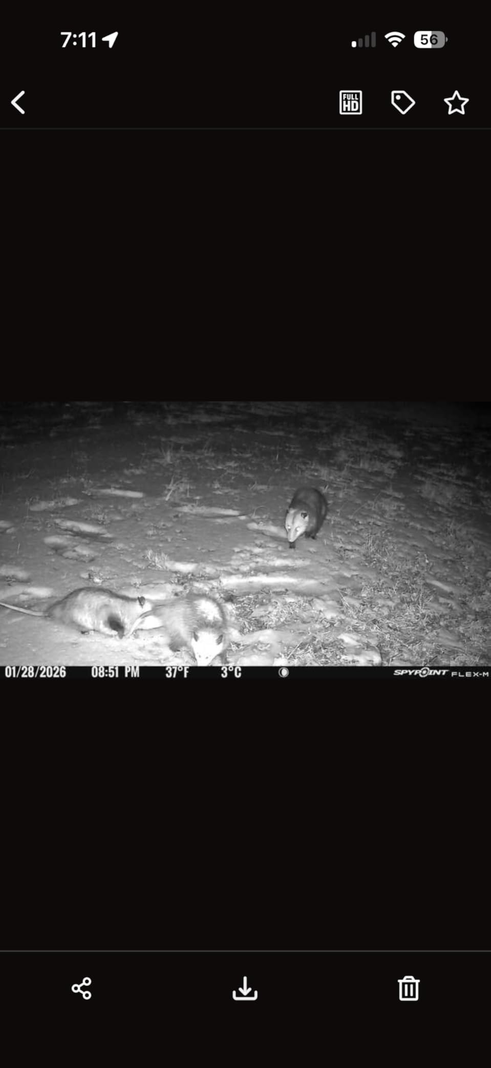 SPYPOINT Flex-M Twin Pack Cellular Trail Cameras - Best Hunting Accessories, No WiFi Needed, GPS, Night Vision, Dual-Sim LTE, IP65 Water-Resistant Game Camera, 28MP Photos, 720p Videos + Sound (2) customer photo 2