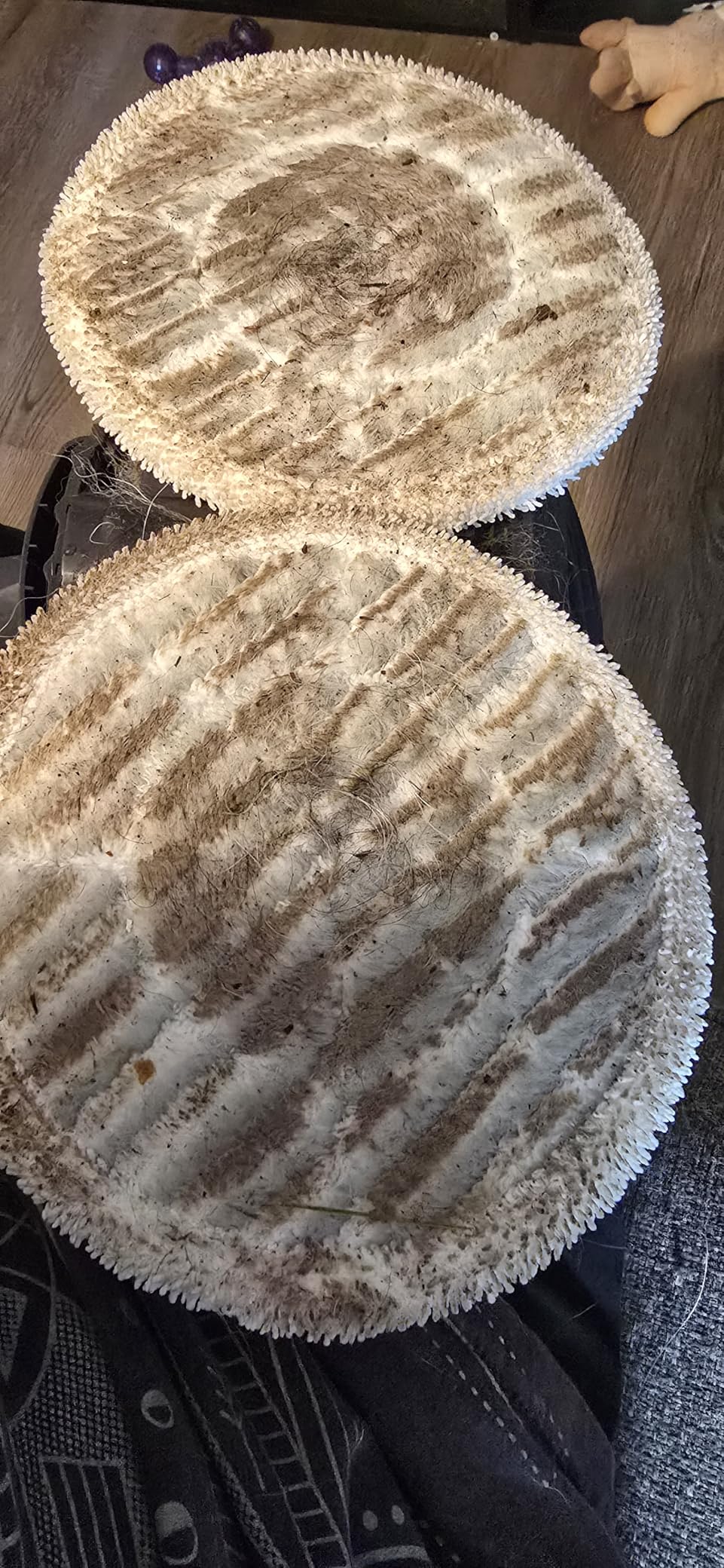 Shark Steam & Scrub Steam Mop, All-in-One Scrubbing and Sanitizing Hard Floor Cleaner, LED Headlights, 4 Dirt Grip Soft Scrub Pads Included, XL Water Tank, Swivel Steering, Hawaiian Grey, S8001 customer photo 1