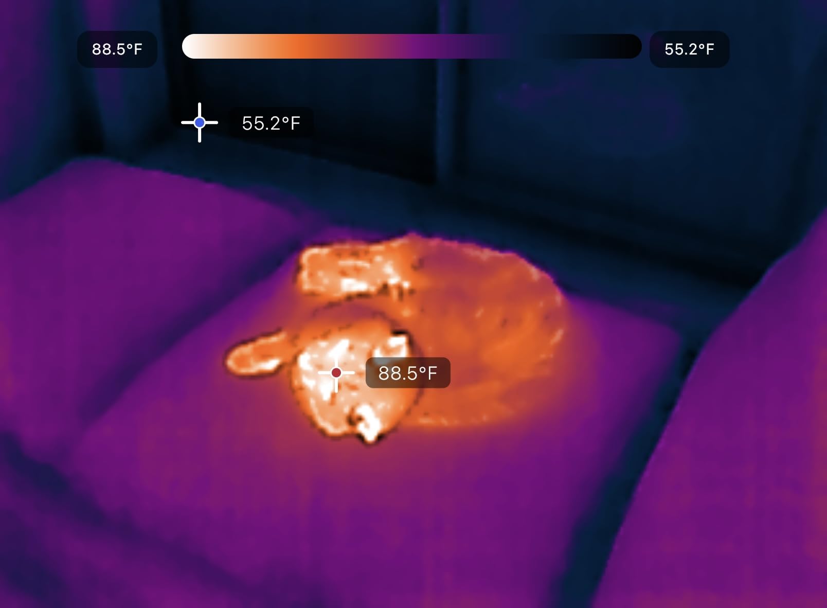 Seek Thermal Nano 200 Thermal Camera for Apple iOS with USB-C Connector, iPhone Thermal Camera, High Resolution 200 X 150 Thermal Imager, 25hz Imaging Frame Rate, -4°F~626°F customer photo 2