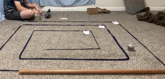 Sphero Bolt+: Coding & AI Learning Robot - Program with Draw, Blocks, Python & Javascript customer photo 1