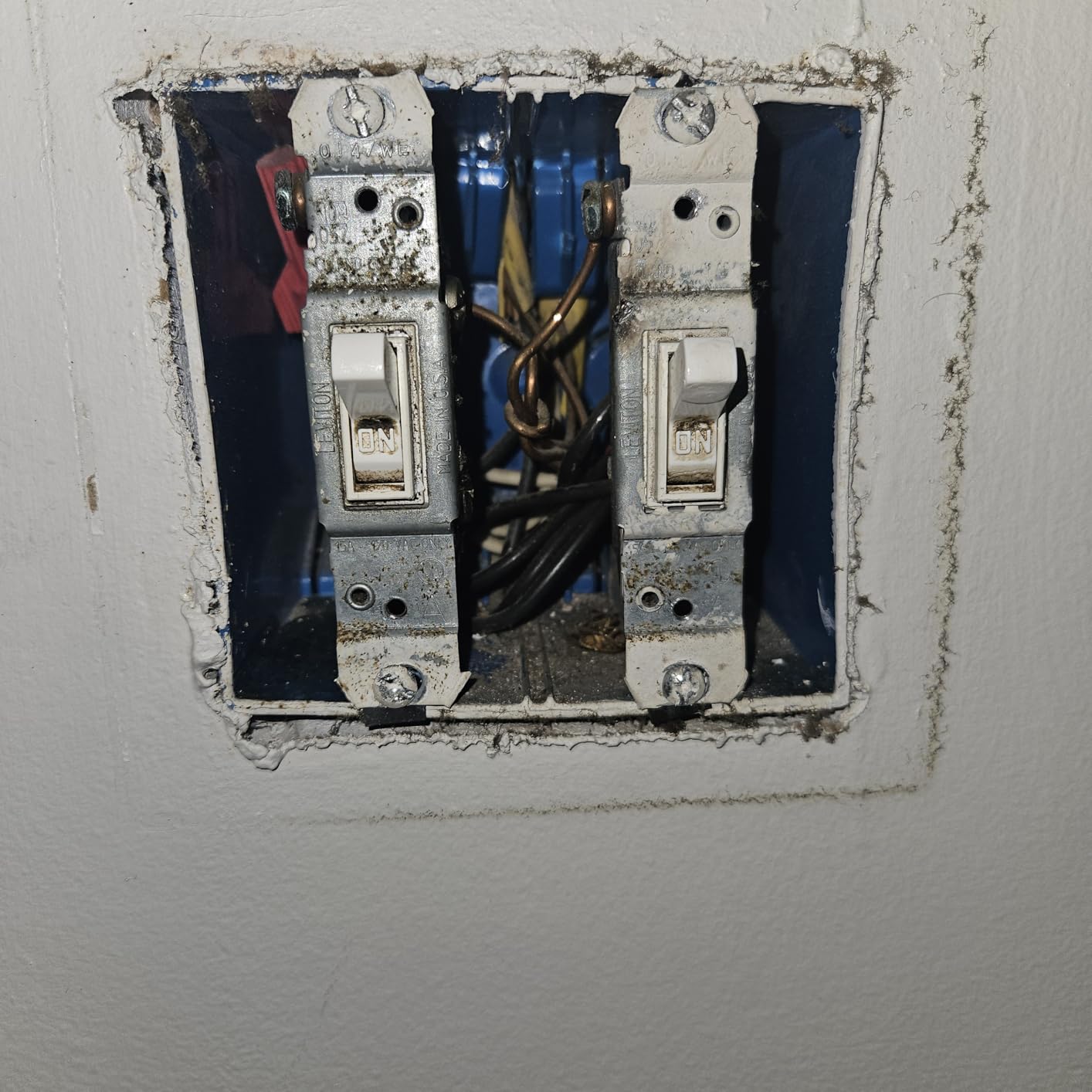 Kasa Smart Switch 2-Gang HS200-2, Single Pole,Neutral Wire Required, 2.4GHz Wi-Fi Light Switch Compatible with Alexa and Google Home, UL Certified, No Hub Required, White customer photo 1