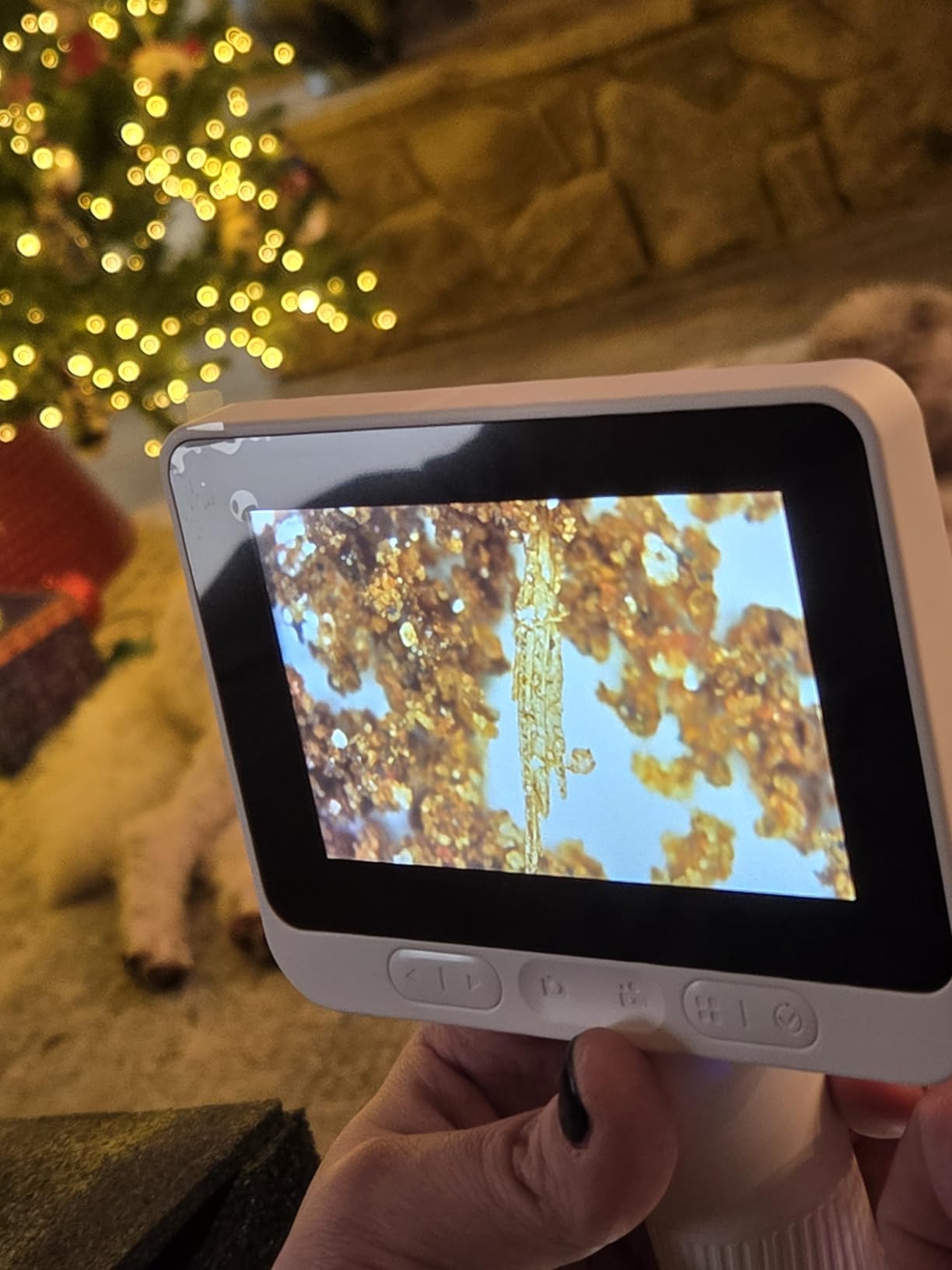 BEAVERLAB Finder 4.0