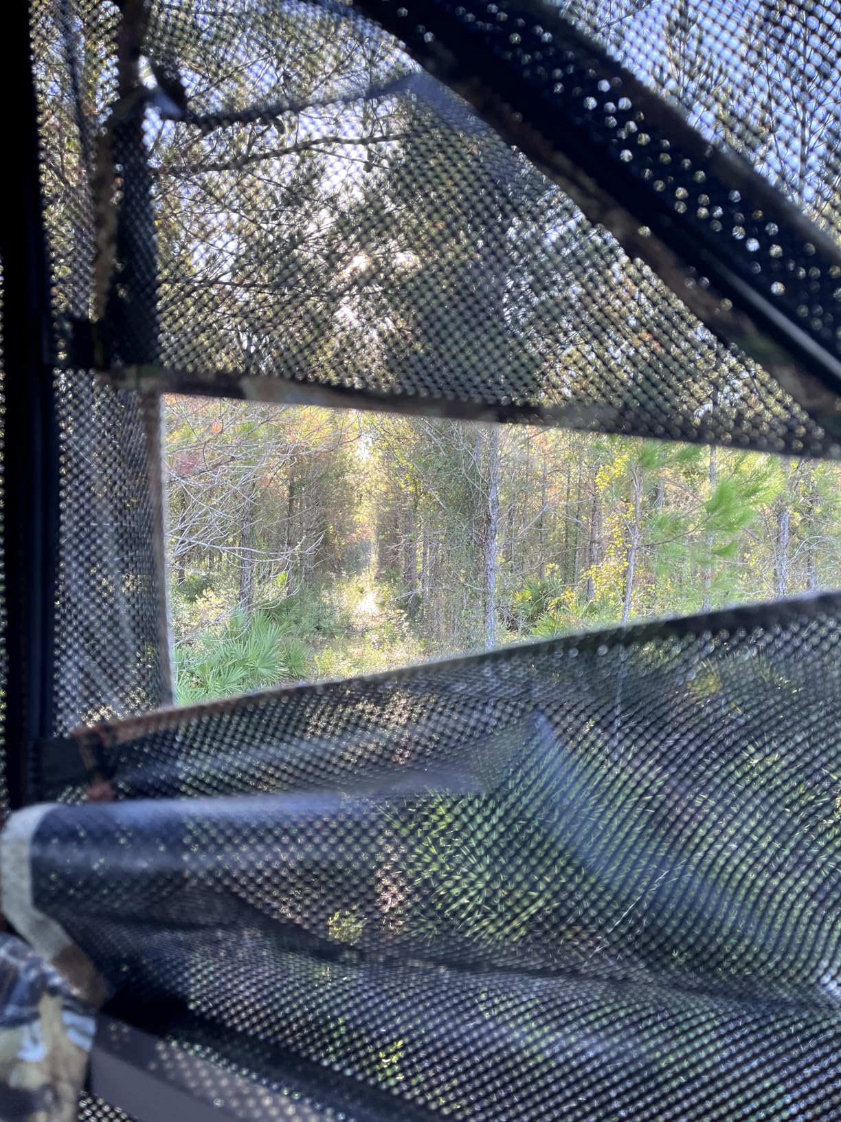 TIDEWE Hunting Blind 360°See Through with Large Open Door, Pop Up Ground Blind with Removable Curtain & Carrying Bag, Portable Resilient Tent(Forest Fade Camo) customer photo 2