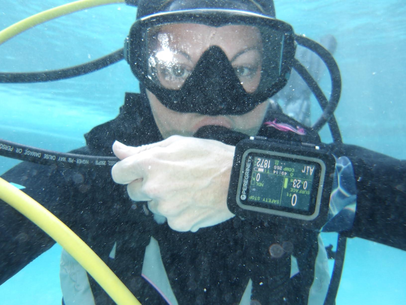 Shearwater Research Peregrine TX Air Integrated Color Dive Computer customer photo 2