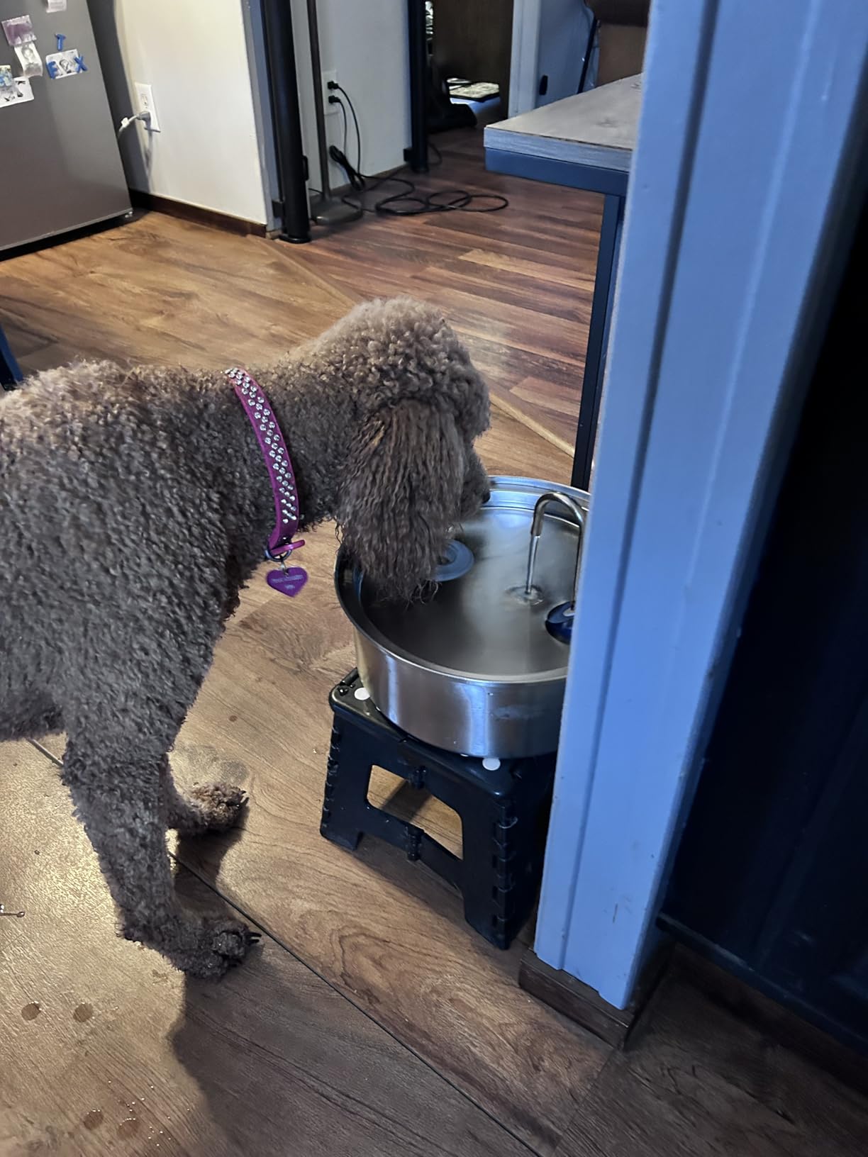 oneisall Dog Water Fountain, 7L/230oz/1.8G Quiet Dog Fountain Water Bowl, Stainless Steel Dog Water Fountain with Visual Water Level&Triple Filtration for Large Medium Small Breed Dogs Pets customer photo 2