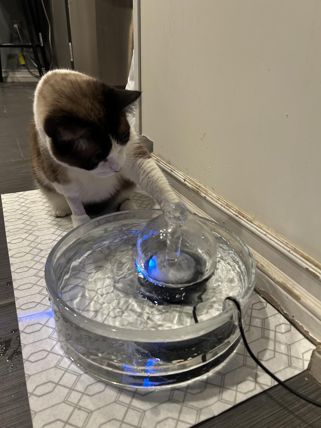 Ceramic Cat Water Fountain - 2.1L/71oz - All-Ceramic Body & Pure Copper Water Spout - Non-Toxic - Automatic Pet Drinking Fountain Indoor with Ultra-Quiet Pump, and 3Pcs Filter & Sponge (White) customer photo 1