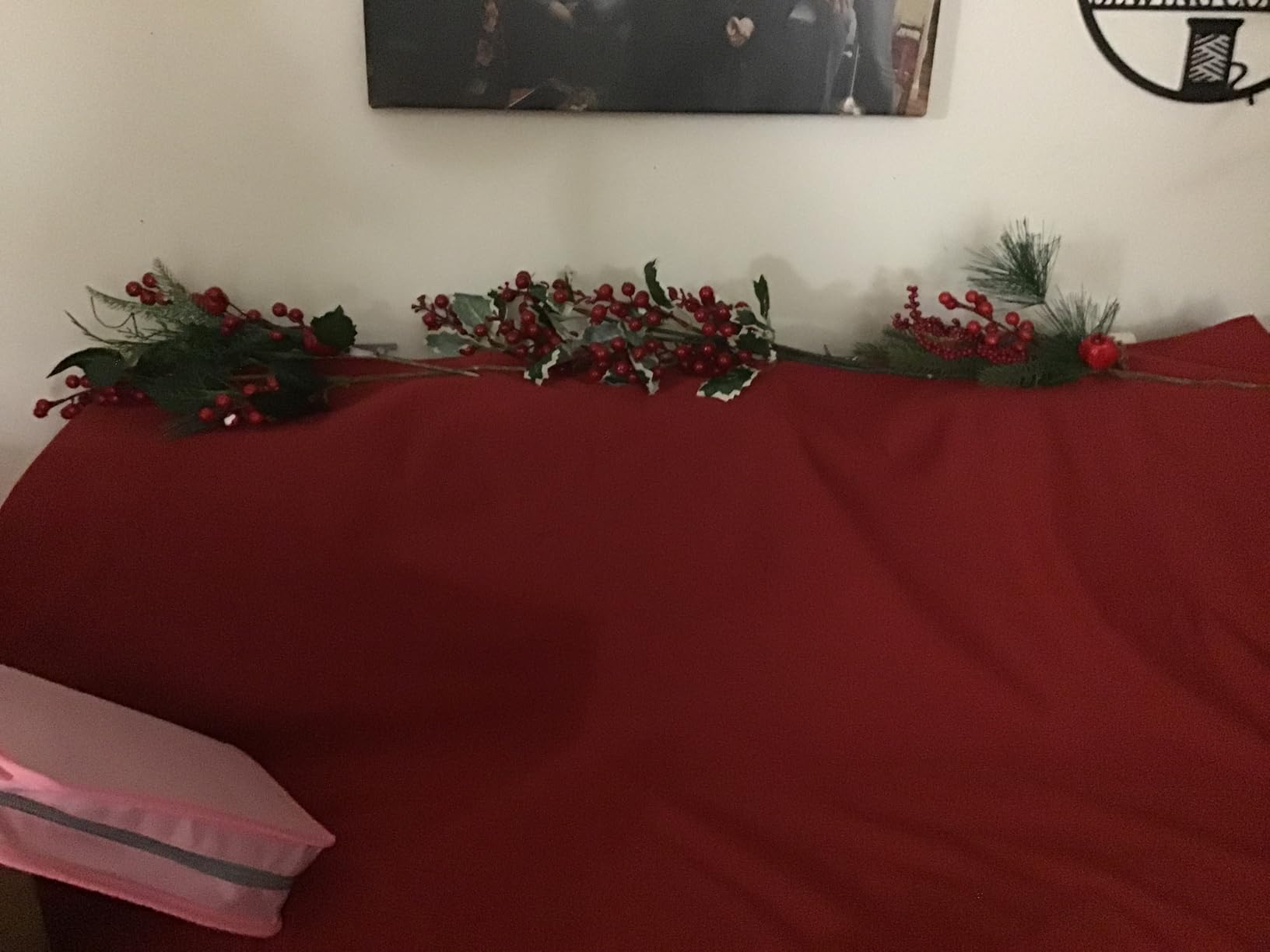 FEIYUE FY505 Serger Overlock Machine with 2/3/4 Thread Capability, Built-in Rolled Hem, Durable Heavy-Duty Metal Frame, Adjustable Differential Feed customer photo 1