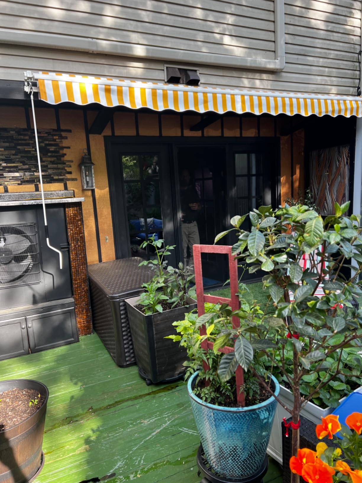 PictureThis - Plant Identifier customer photo 2