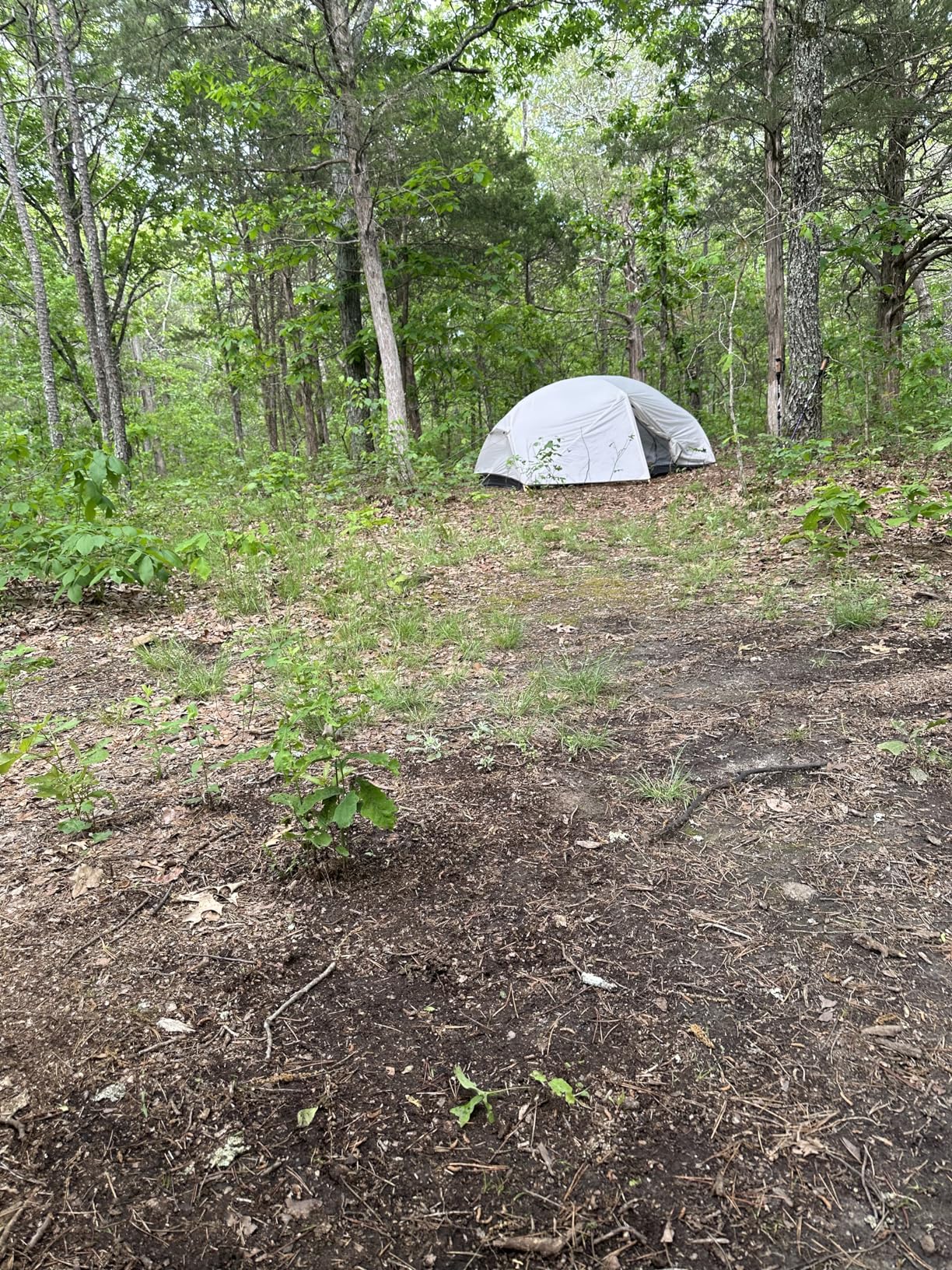 Naturehike Mongar 2 Person 3 Season Camping Tent Ultralight Backpacking Tent for Hiking Cycling customer photo 1