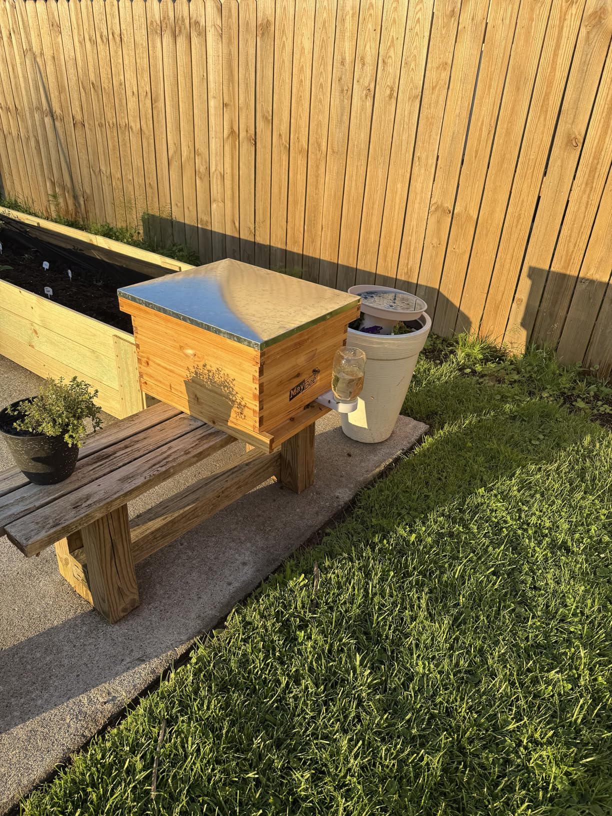 MayBee 10-Frame Beehive Starter Kit, Bee Hive Kit Dipped in 100% Beeswax, Bee Hives Boxes Starter Kit Includes Beekeeping Supplies Tool Kit and Bee Suit customer photo 1