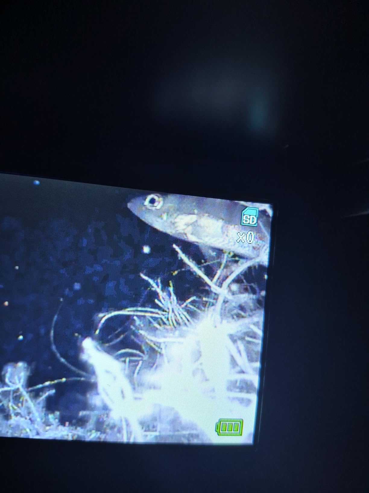 [FishPRO 2026 Upgrade] The PRO in Underwater Fishing Camera -4.3'' Ice Fishing Camera Underwater(NO Need Learn), 1000TVL, Ice Fish Gift for Men, Ice Fish Finder for Boat Fish w/IR/USB-C/5,000mAh/65ft customer photo 1