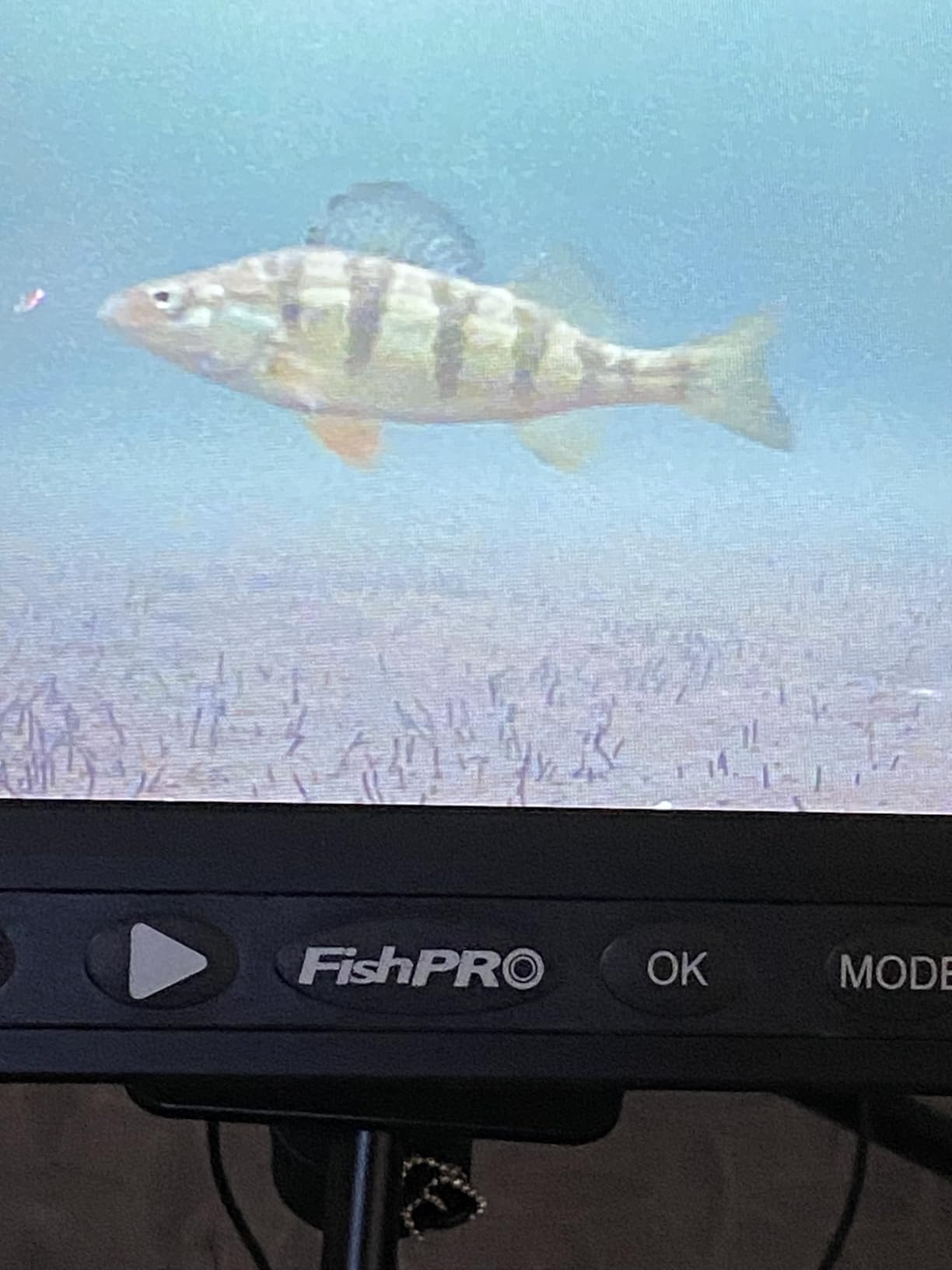 [FishPRO® 2026 Upgrade] NO.1 HD 1080P Underwater Fishing Camera 7'' IPS- w/10,000mAh (Ease to Use) N/DVR Ice Fishing Camera, Fish Finder Camera for Ice Lake Boat Fishing w/USB-C, LED+IR, 82ft customer photo 1