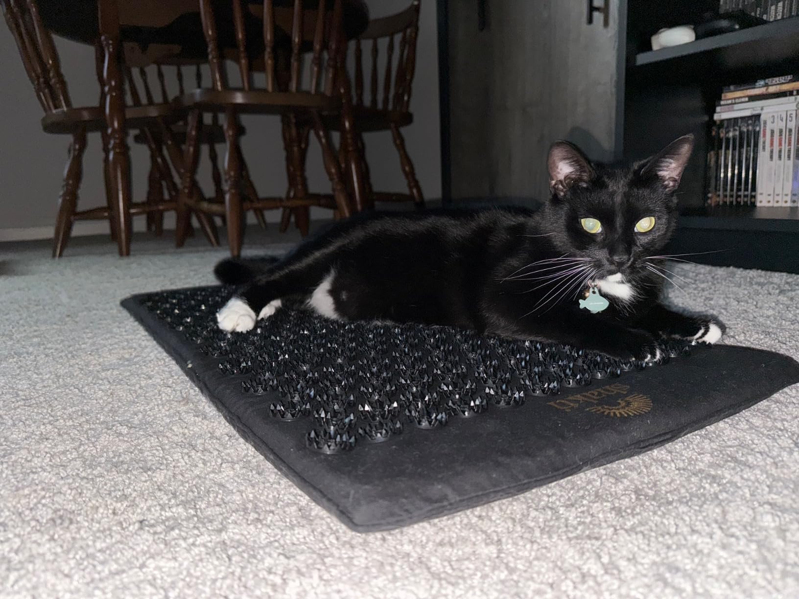 ShaktiMat Premium Acupressure Mat, Level 2 Intensity in Shakti Black, Massage Muscles, Aid Sleep & Unlock Inner Tension | Similar to Acupuncture, No Needles Required customer photo 1