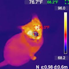 MILESEEY TR10 Thermal Imaging Camera, Super Resolution 192 x 192 Thermal Camera, 25 Hz Refresh Rate, -4°F to 1022°F Handheld Infrared Imager, 8-Hour Battery Life Infrared Camera customer photo 2