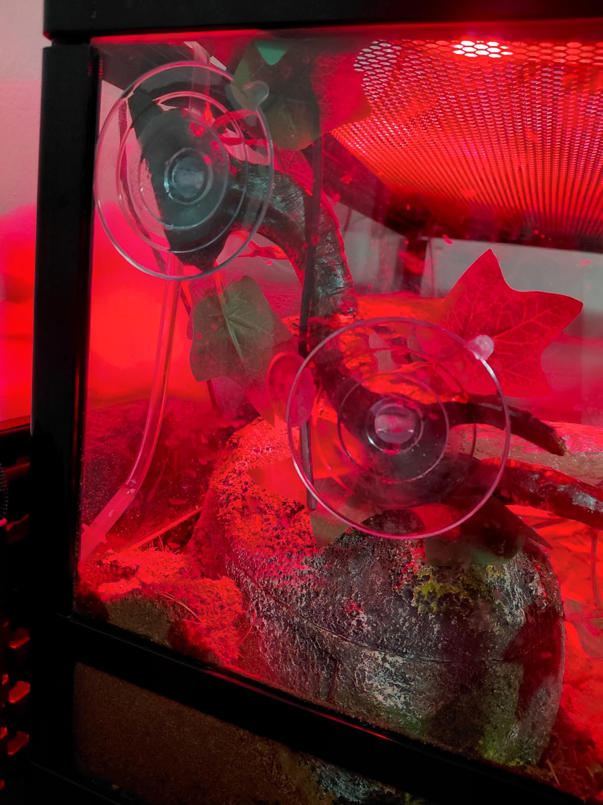 Automatic Watering System, 15 Potted Indoor Houseplants Support Plant Waterer, Vacation Plant Watering Devices, with Digital Programmable Water Timer customer photo 2