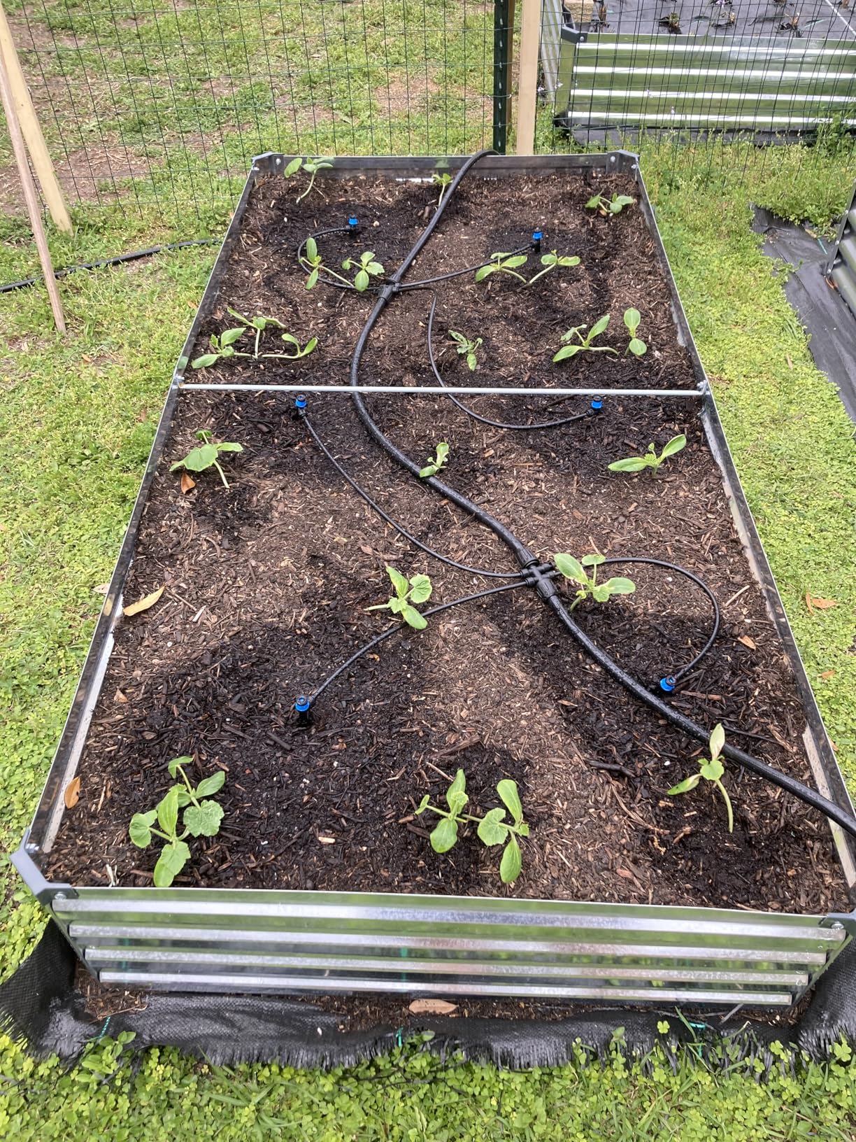 2 Pack 6x3x1FT Galvanized Raised Garden Beds Kit Outdoor Metal Gardening Planter Box for Vegetable Elevated Flower Herbs customer photo 1