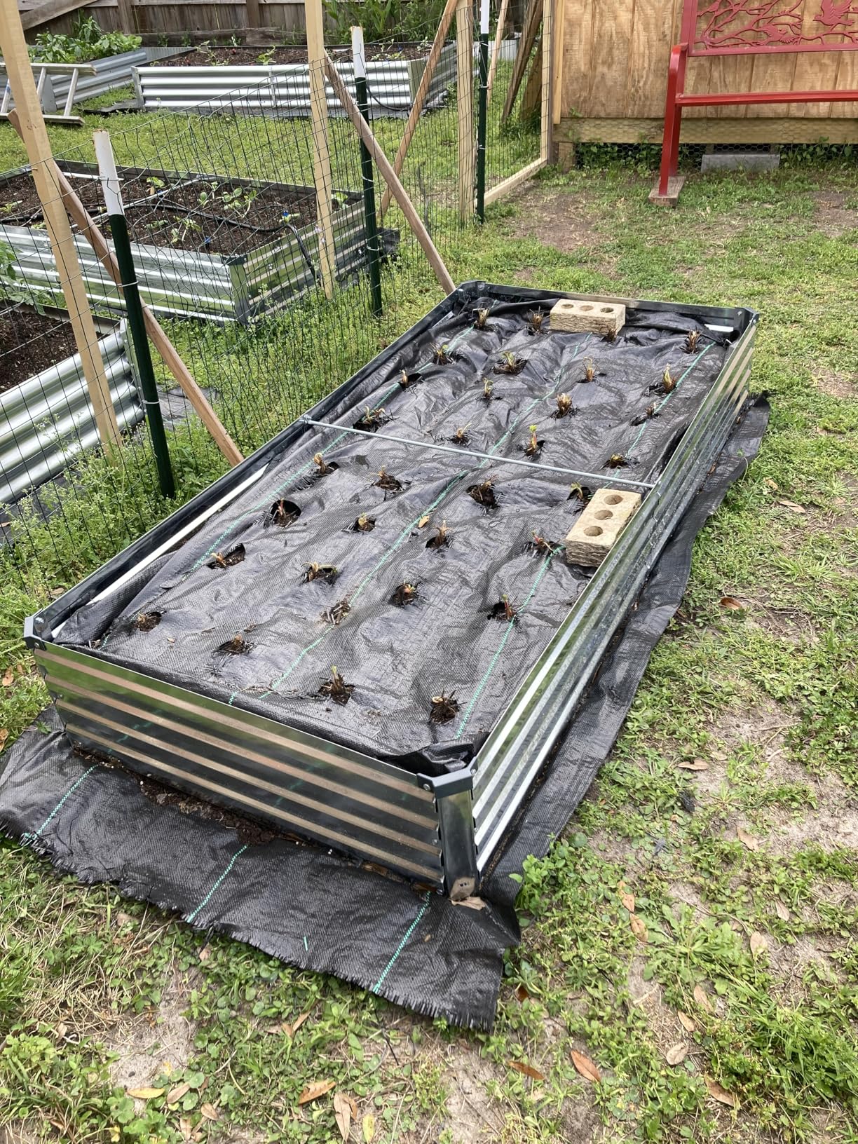 2 Pack 6x3x1FT Galvanized Raised Garden Beds Kit Outdoor Metal Gardening Planter Box for Vegetable Elevated Flower Herbs customer photo 2