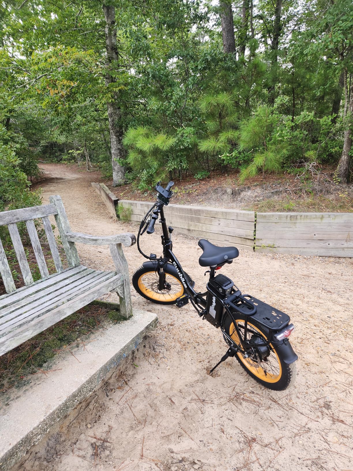 Folding Electric Bike for Adults with Peak 1000W Motor, 48V 20AH Battery up to 30MPH 80 Miles, 20