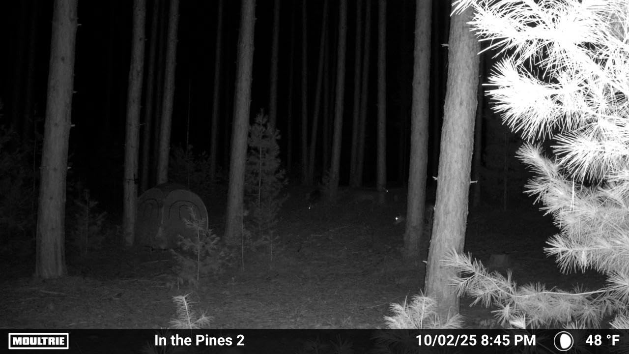 Moultrie Edge 2 Cellular Trail Camera - Auto Connect Nationwide 4G LTE - On Demand 36MP Photo - 1080P Video with HD Audio - 100 Ft Detection Range - Low Glow Flash customer photo 2