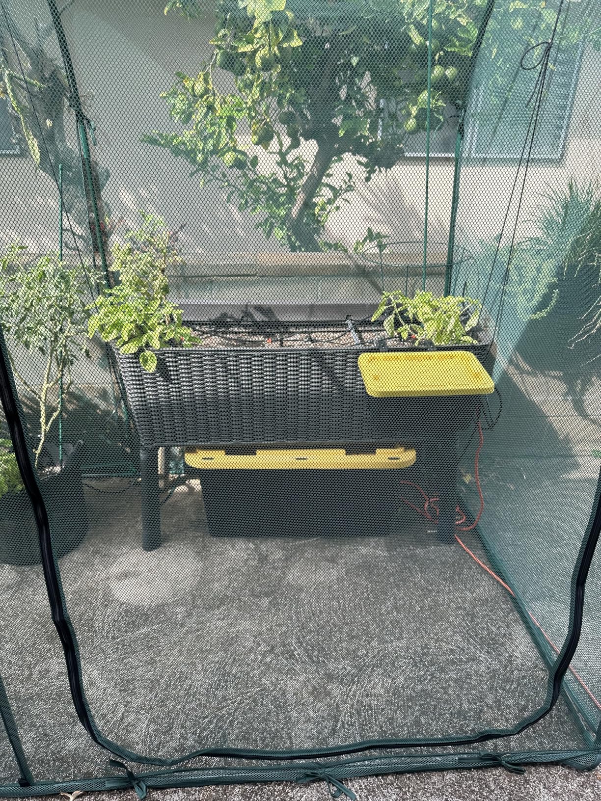 LetPot Automatic Watering System for Potted Plants, [Wi-Fi & App Control] Drip Irrigation Kit System, Smart Plant Watering Devices for Indoor Outdoor, Water Shortage Remind, IPX66, Green customer photo 1