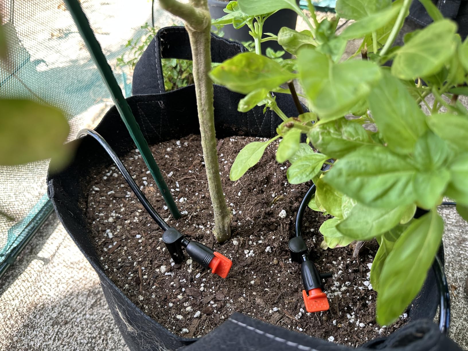 LetPot Automatic Watering System for Potted Plants, [Wi-Fi & App Control] Drip Irrigation Kit System, Smart Plant Watering Devices for Indoor Outdoor, Water Shortage Remind, IPX66, Green customer photo 2