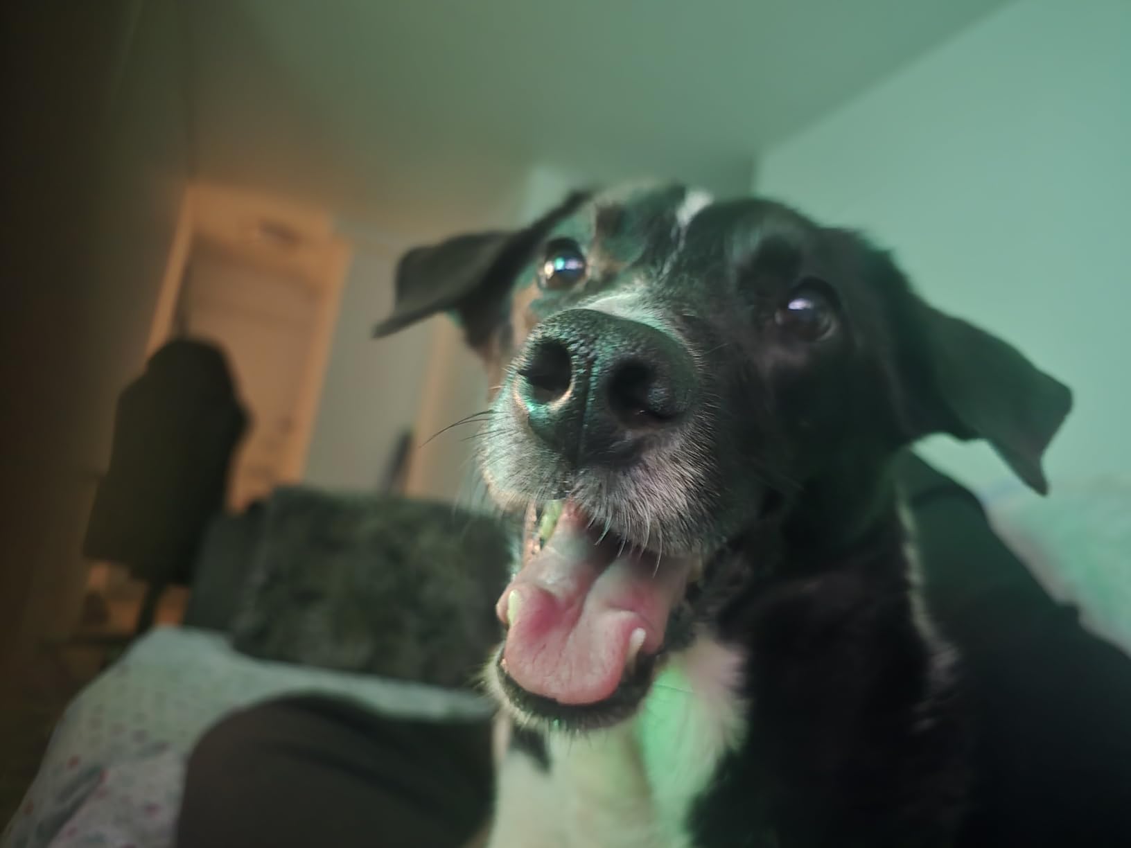 WOTOR Wine Saver Vacuum Pump with 4 Stoppers - Wine Stopper & Preserver customer photo 1